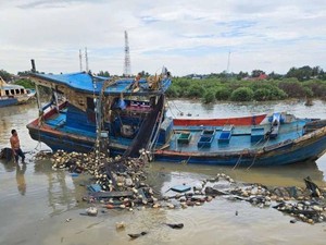 Pastikan Bantuan Tepat Sasaran, Aceh Timur Verifikasi Ulang 525 Nelayan