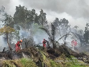 Ketika Selebritas Merasa Malu Ada di Negara Tetangga karena Kabut Asap Karhutla