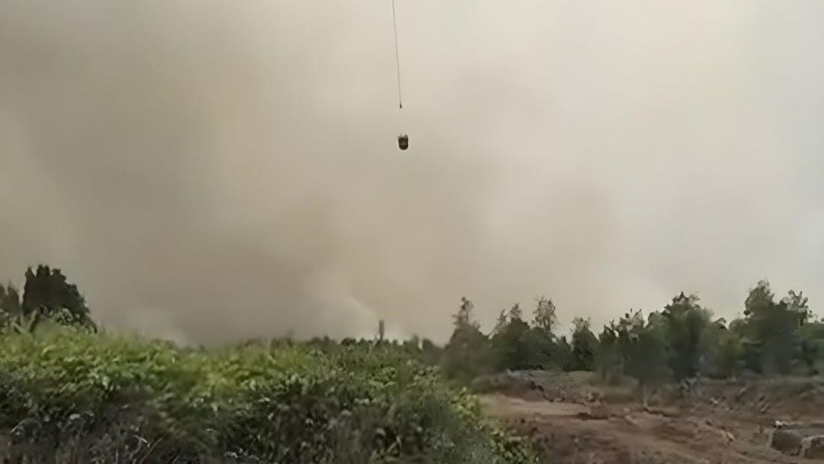 BPBD Hulu Sungai Selatan Apresiasi Anak Usaha AALI Tangani Karhutla — NadiKabar.com