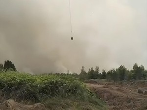 BPBD Hulu Sungai Selatan Apresiasi Anak Usaha AALI Tangani Karhutla