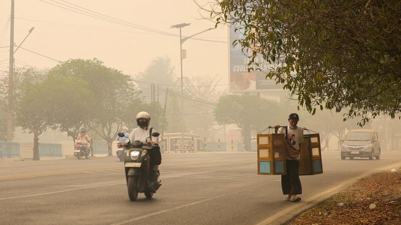 Kabut asap akibat kebakaran hutan menyelimuti Palangka Raya, Kalimatan Tengah, Minggu (18/10/2026). (REUTERS/Arief Rahman Septian Prathama)