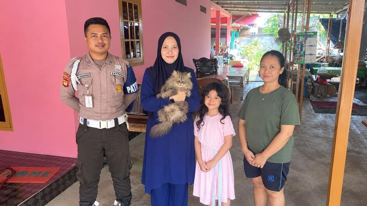 Kucing Cimi yang Hilang Usai Dibawa Abang Mi Ayam Akhirnya Ketemu — NadiKabar.com