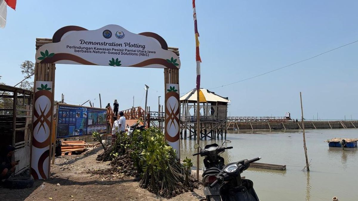 Nature-Based Solution Bawa Harapan Baru bagi Warga Timbulsloko Demak — NadiKabar.com