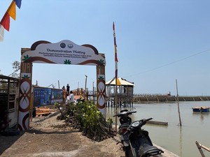 Nature-Based Solution Bawa Harapan Baru bagi Warga Timbulsloko Demak