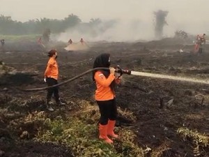 Tangguhnya Para Srikandi Relawan Kala Padamkan Karhutla di Kobar