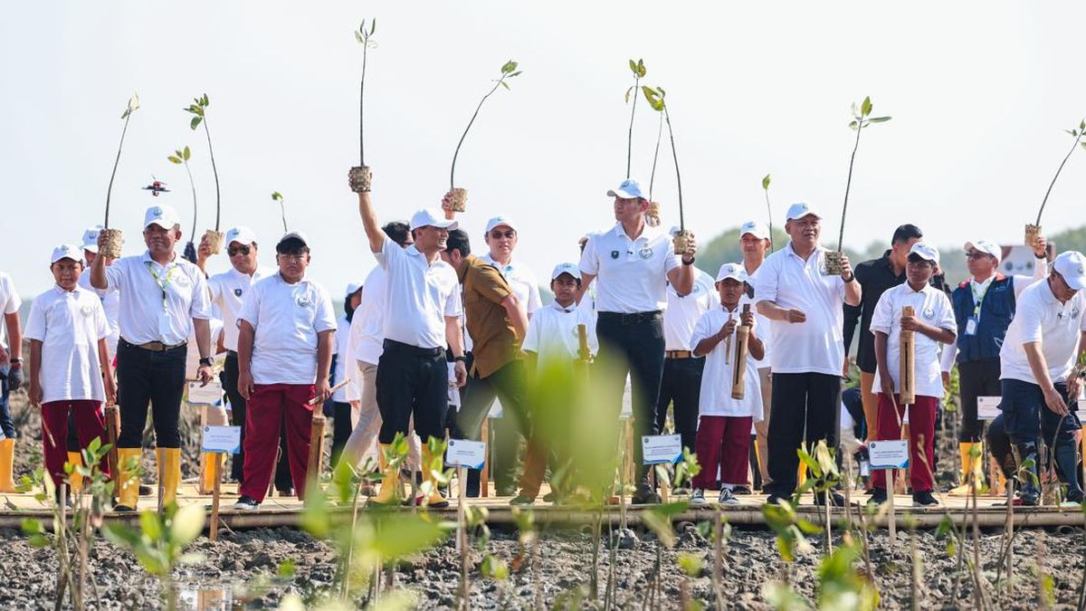 Atasi Abrasi, AHY-Luthfi Tanam Mangrove di Demak dengan Inovasi HexBricks — NadiKabar.com
