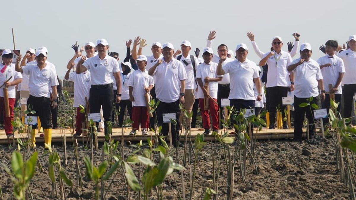 Timbulsloko Demak Jadi Percontohan Program Perlindungan Pantai Utara Jawa — NadiKabar.com