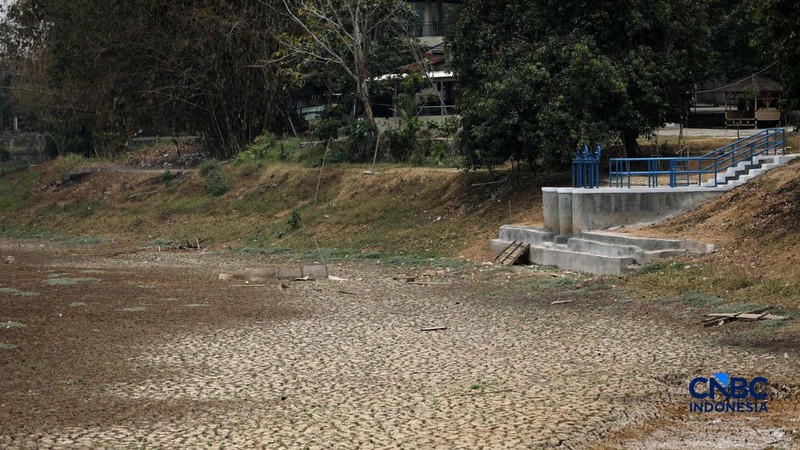 Situ Rawa Bedeng, Kecamatan Bojongmangu, Kabupaten Bekasi, Jawa Barat, Senin (19/10/2026). Situ seluas sekitar delapan hektare yang selama ini menjadi tumpuan kebutuhan air warga dan pertanian itu mengering setelah enam bulan dilanda kemarau. (CNBC I