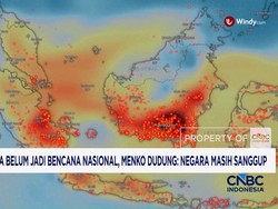 Karhutla Belum Jadi Bencana Nasional, Menko Dudung: Negara Masih Sanggup