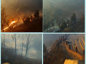 Kondisi Terkini Karhutla Jatim, Api Masih Terpantau di Bromo-Arjuno