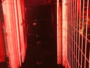 Kebakaran Dekat Kampung Boncos Jakbar, Api Bersumber dari Genset