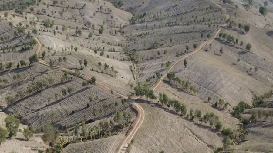 Kemarau kekeringan di Gerobogan Hamparan Bukit Gerobogan yang mirip gurun pasir saat kemarau. (Tangkapan Layar Instagram/Grobogan.drone)