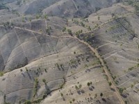 Hamparan Bukit Gerobogan yang mirip gurun pasir saat kemarau. (Tangkapan Layar Instagram/Grobogan.drone)