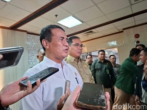 Mentan Sebut Ada Negara Minta Pasokan Beras RI