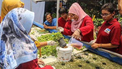 Pelatihan Hidroponik Inklusif Buka Peluang Kemandirian Ekonomi di Semarang