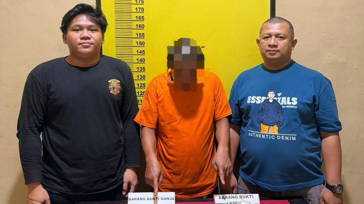 Operasi Narkoba di Panipahan Riau: Bandar Dibekuk, 34 Paket Ganja Disita — NadiKabar.com