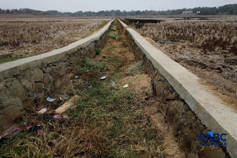 Sumur pompa tua di Jalan Lurah Parman, Desa Medalkrisna, Kecamatan Bojongmangu, Kabupaten Bekasi, Jawa Barat, Senin (19/10/2026). Di tengah hamparan persawahan yang mengering di Desa Medalkrisna, Kecamatan Bojongmangu, berdiri sebuah sumur pompa tua yang kini menjadi satu-satunya harapan warga untuk mendapatkan air bersih gratis. (CNBC Indonesia/Tri Susilo)