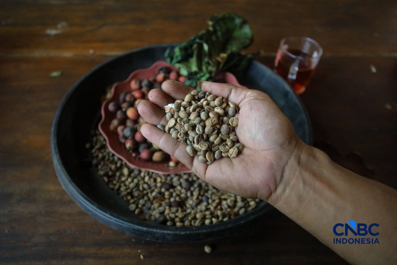 Budidaya tanaman kopi di Hutan Kota Pesanggrahan Sangga Buana, Lebak Bulus, Jakarta, Selasa (20/10/2026). (CNBC Indonesia/Faisal Rahman)