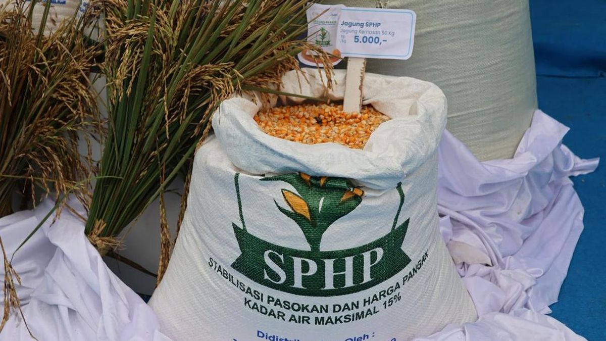 BULOG Kebut Penyaluran 150.000 Ton SPHP Jagung Tahap 2 bagi Peternak Mikro — NadiKabar.com