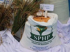 BULOG Kebut Penyaluran 150.000 Ton SPHP Jagung Tahap 2 bagi Peternak Mikro