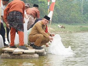 25 Ribu Benih Ikan Nilem Ditebar di Lubuk Larangan Bungo untuk Jaga Ekosistem