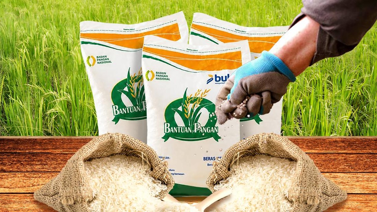Cadangan Beras Melimpah: Dari Gudang ke Meja Makan Semua Aman
