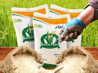Infografis, Cadangan Beras Melimpah: Dari Gudang ke Meja Makan