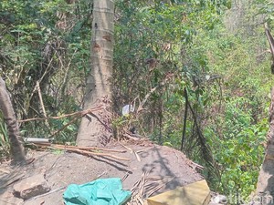 Karyawan Toko Kerajinan Jatuh ke Jurang di Ubud