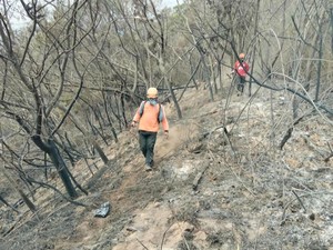 Pemprov Jateng Intensifkan Pemadaman Karhutla Gunung Lawu dan Sumbing