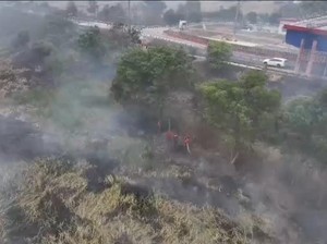 Video: Kemkomdigi Bantah Isu Ada Pembatasan Konten Karhutla di Media Sosial