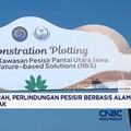 Lawan Abrasi Parah, Perlindungan Pesisir Berbasis Alam Diuji Coba di Demak