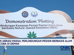 Lawan Abrasi Parah, Perlindungan Pesisir Berbasis Alam Diuji Coba di Demak