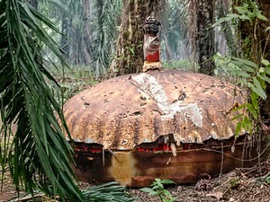 Heboh Sampah Antariksa Jatuh ke Kebun Sawit di Kalteng, Ini Penjelasan BRIN