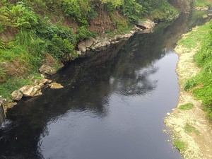 Bupati Bogor Inventarisasi Saluran Pabrik yang Diduga Cemari Sungai Cileungsi