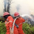 Foto yang dirilis Kementerian Kehutanan pada minggu (18/10), Kementerian Kehutanan terus memperkuat pengendalian kebakaran hutan dan lahan di sejumlah hotspot. (Dok Kemenhut)