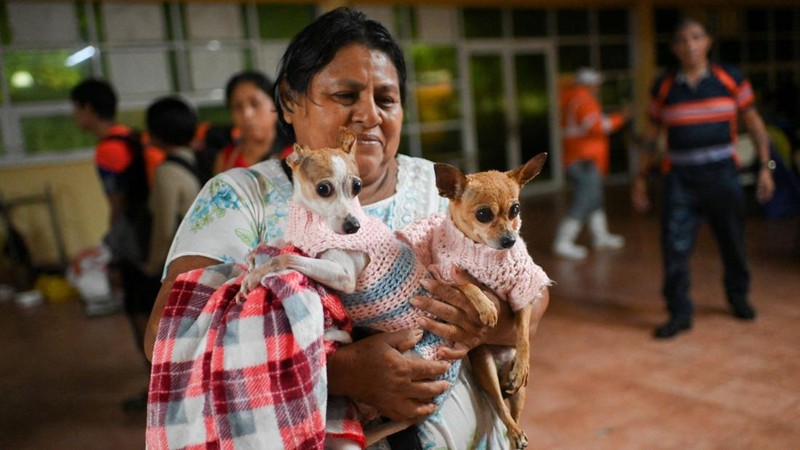 Seorang wanita yang membawa hewan-hewan peliharaannya tiba di sebuah tempat penampungan menyusul hujan deras yang dipicu oleh Front Dingin Nomor 2 di Coatzacoalcos, negara bagian Veracruz, Meksiko, pada 19 Oktober 2026.