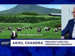 Strategi Produsen Susu Lokal Hasilkan Susu Kualitas Global - Gandeng 2.000 Peternak UMKM