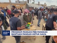 WFP Pangkas Bantuan Pangan Gaza