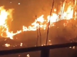 Bukit Lubang Kilat Terbakar, Lereng Hijau Wisata Andalan Lamandau Menghitam
