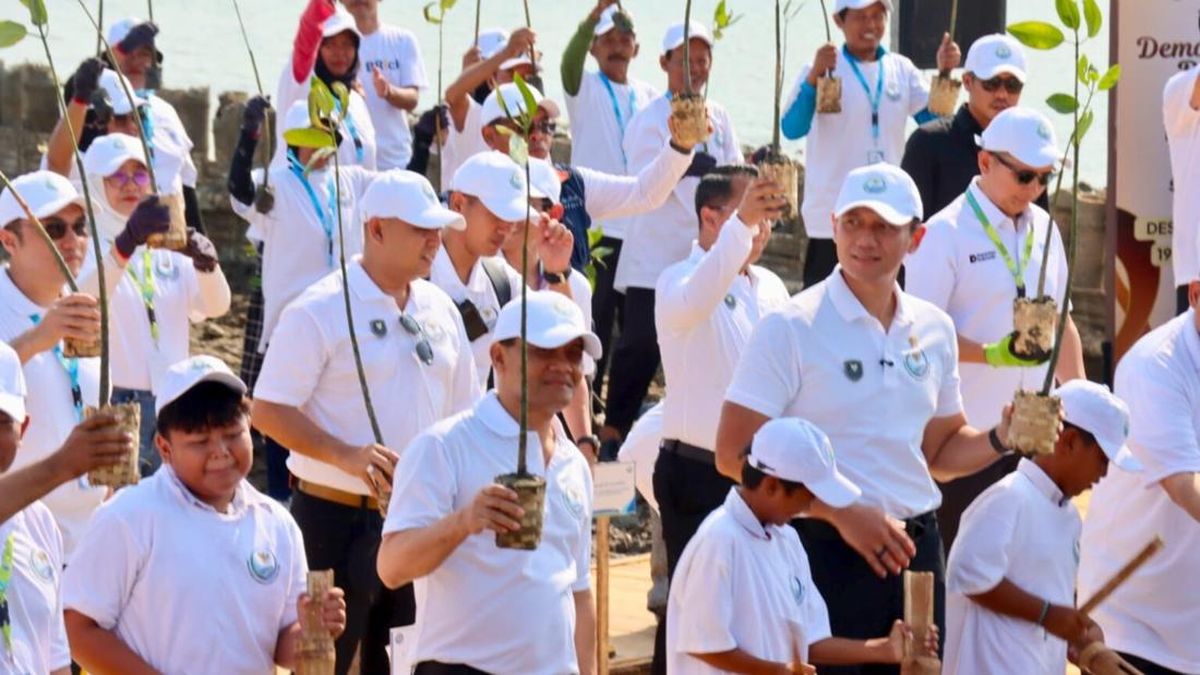 DPRD Jateng Dukung Penanaman Mangrove untuk Atasi Abrasi di Demak — NadiKabar.com