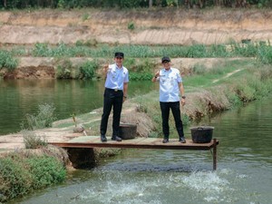 Pakan Ikan Mandiri di Lampung Selatan Pangkas Biaya Produksi hingga 50%