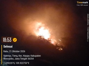 Gunung Pakuwaja Wonosobo Terbakar