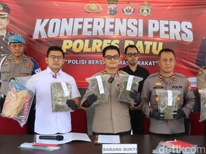 Petani di Malang Pesan 5 Kg Ganja via Medsos untuk Dijual Lagi