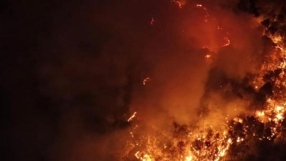 Gunung Ciremai Area Kuningan Kebakaran, Meluas hingga Majalengka — NadiKabar.com