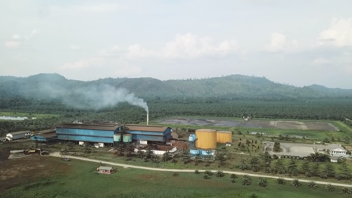 Usai Dicecar Bursa Soal Karhutla, Pabrik Sawit PSGO di Kaltim Terbakar