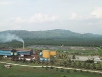 Perkebunan Sawit Palma Serasih Group. (Dok:Palma Serasih Group)