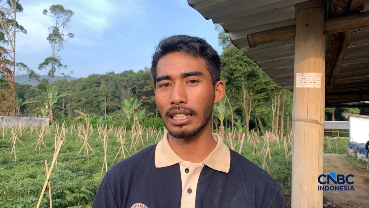 Gen Z Pantang Gengsi Jadi Petani Kentang, Sekali Panen 9,5 Ton