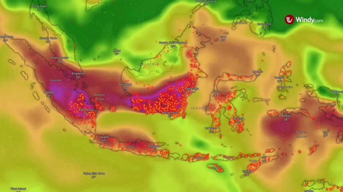 Meta Diminta Buka-bukaan Soal Dugaan Penghapusan Konten Karhutla — NadiKabar.com