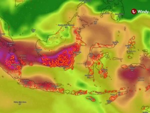 Video: Karhutla Melonjak Sejak September 2026, Lampaui Catatan 2019