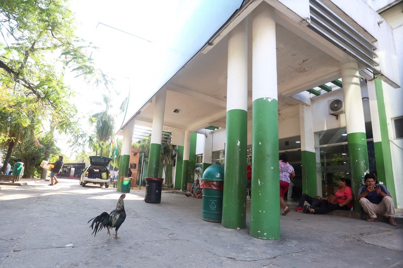 seekor ayam jantan bernama Martin terus berada di pintu masuk sebuah rumah sakit onkologi selama delapan tahun.